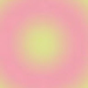 Meet your Posher, Allie